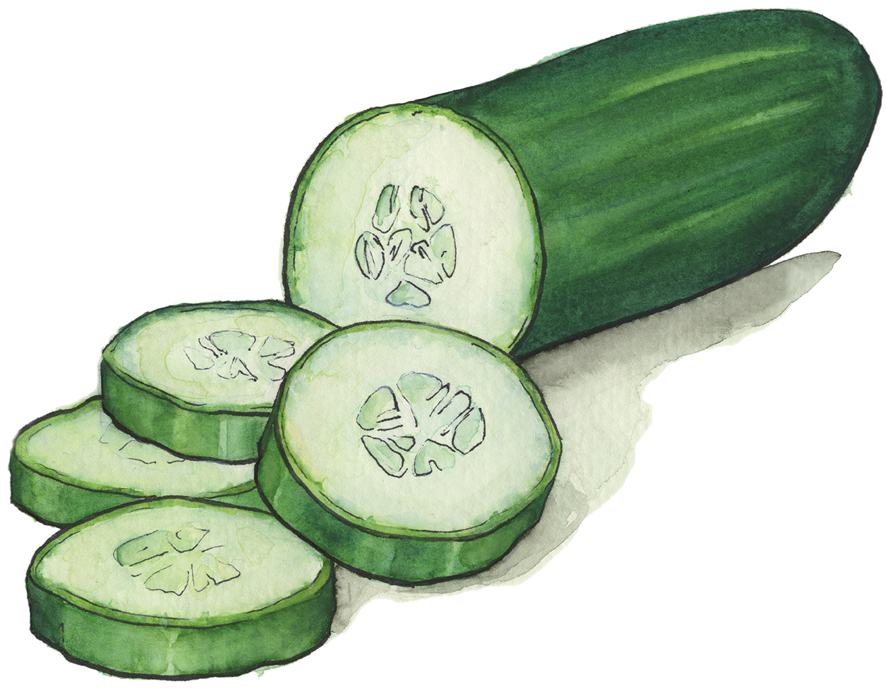 Cucumbers