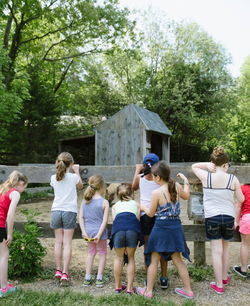 school visits to farms