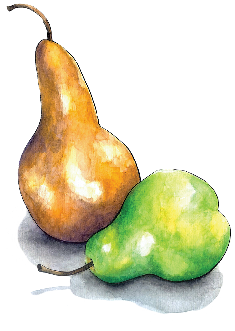 Pears