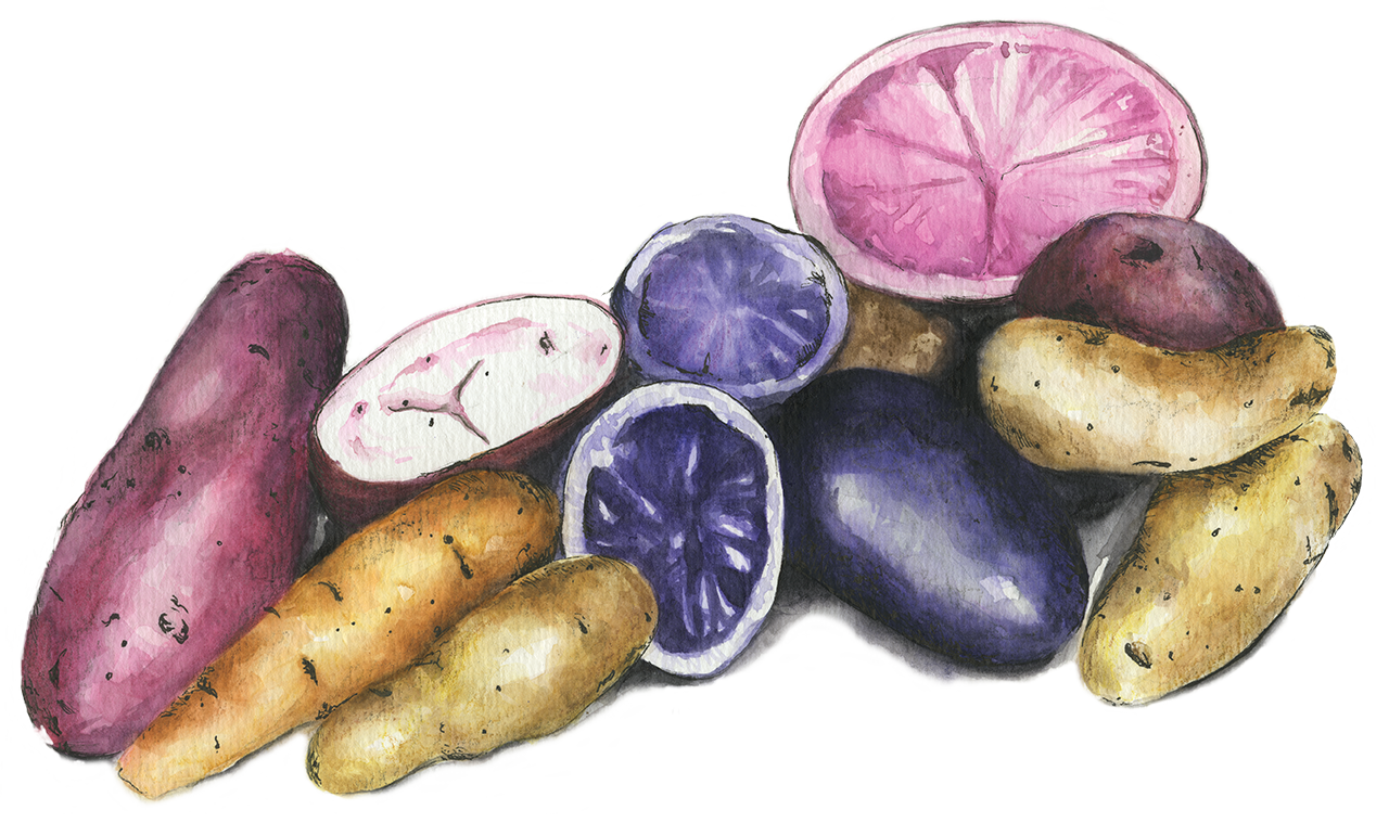 Potatoes