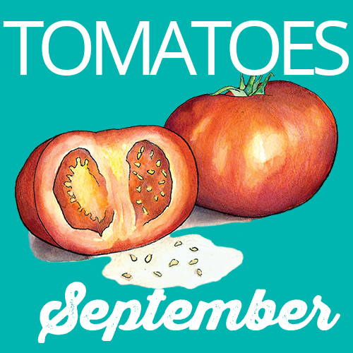 Tomatoes