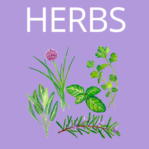 Herbs