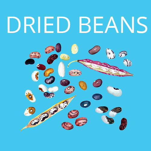 Dried Beans