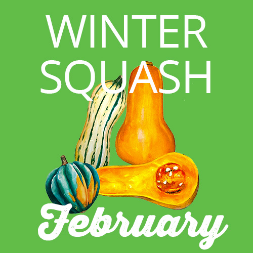 Winter Squash